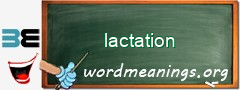 WordMeaning blackboard for lactation